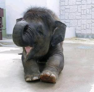 Meet your Posher, Ellen